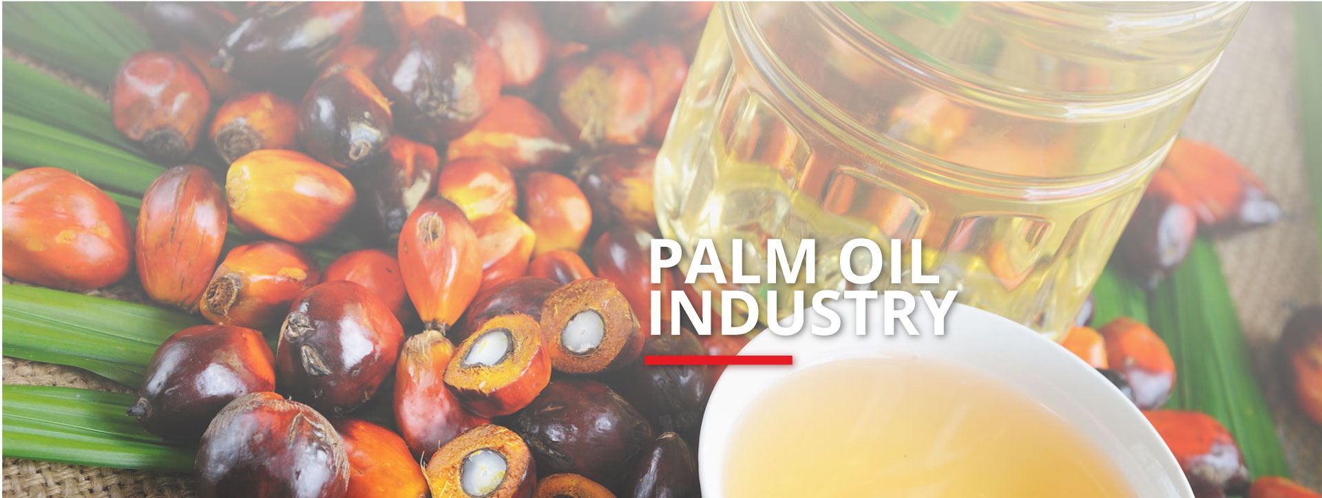 Palm Oil Industry Banner